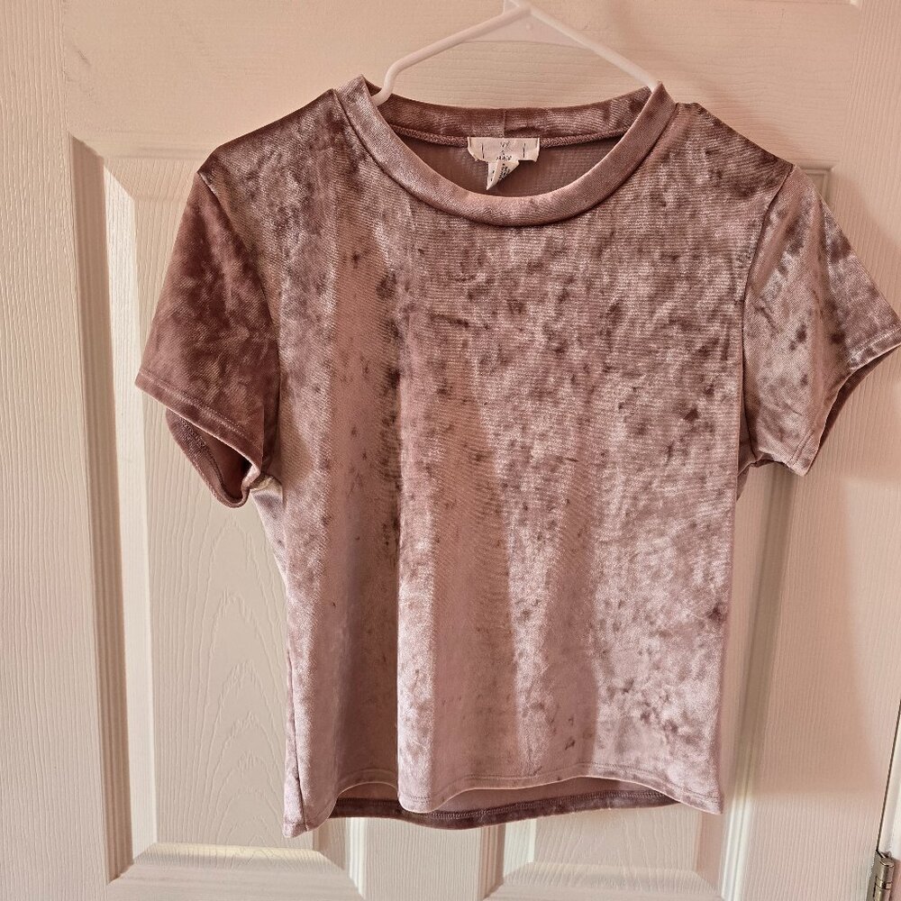 Ivy and Main pale pink velvet cropped t-shirt medium